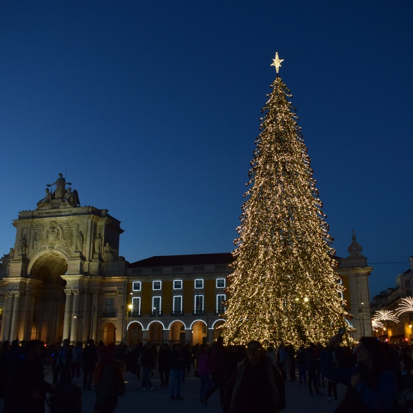 Pinheiro Clássico com 30 metros, preenchido com estames e iluminado com luz branco quente s